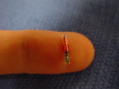 rfid chip will go in right hand|rfid chip hand implant.